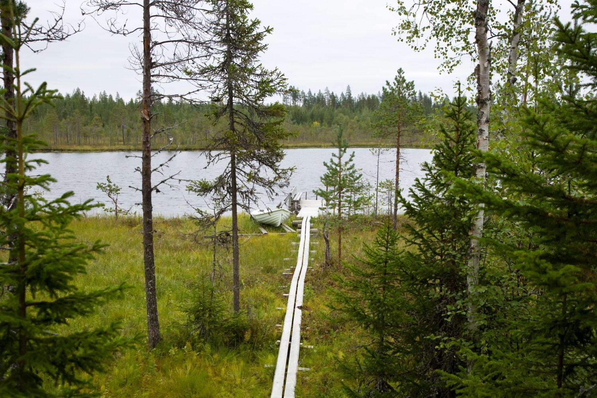 Ukonloma Haerkaelampi Villa Rovaniemi Dış mekan fotoğraf