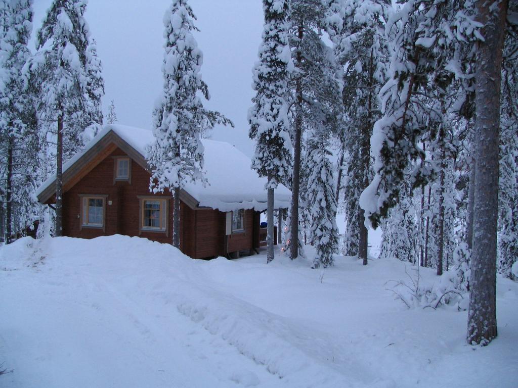 Ukonloma Haerkaelampi Villa Rovaniemi Dış mekan fotoğraf