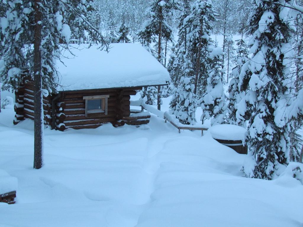 Ukonloma Haerkaelampi Villa Rovaniemi Dış mekan fotoğraf